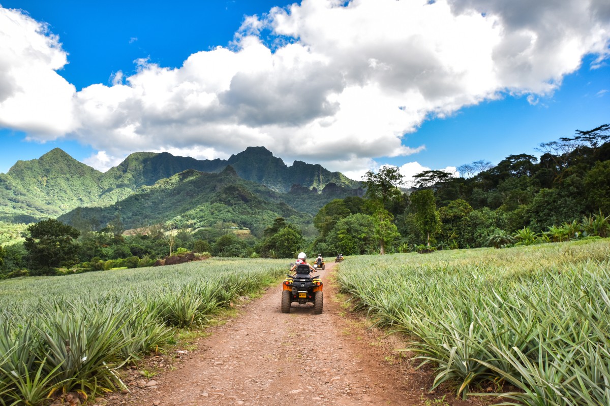 Aventure tout terrain